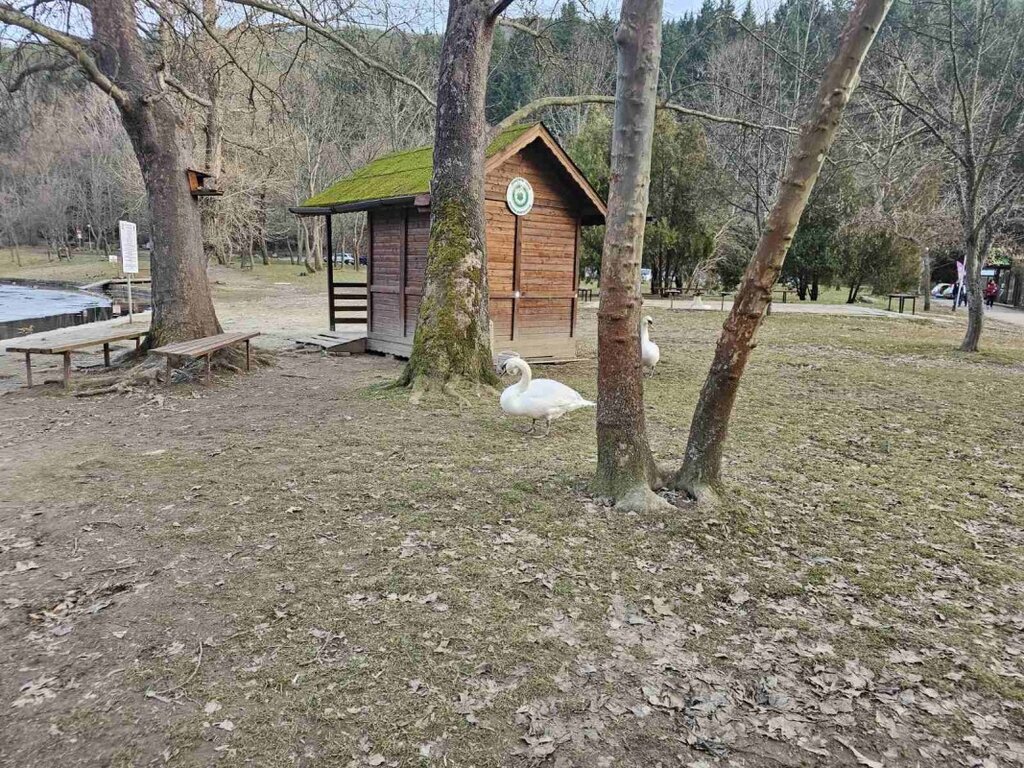 Продължава да е горещо, в понеделник се очакват леки дъждове