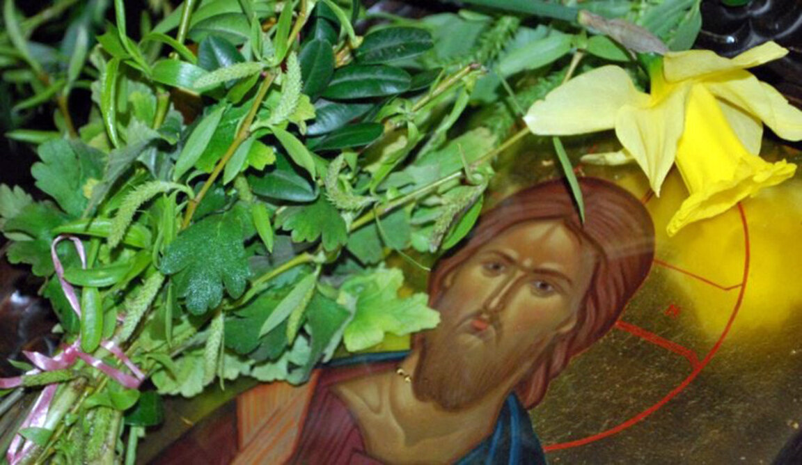 Что мы чествуем в Вербное воскресенье и каковы посещения Божии в нашей жизни?