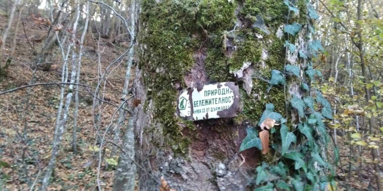 Пресъхна водопадът "Св. Анна" край село Смоличано