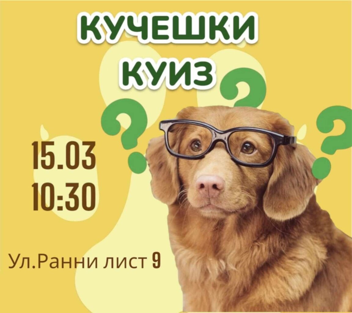 Кучешки куиз тази събота в Пловдив