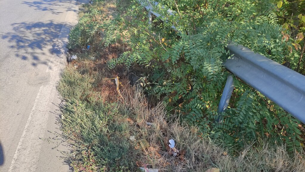 Гъста трева и храсти скриват второто, по-малко пропадане в участъка.