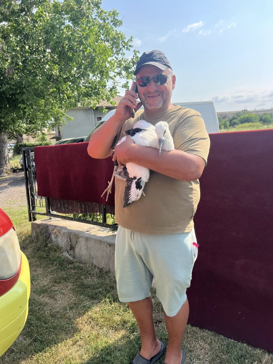 Спасиха щъркелче в беда