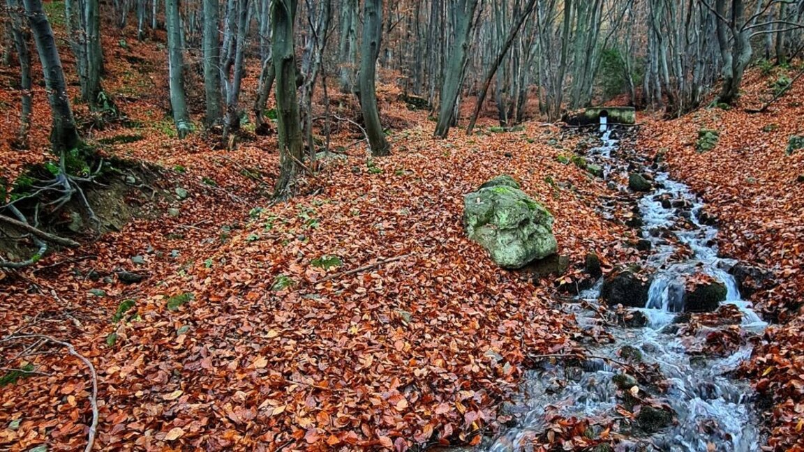 Предимно слънчево време