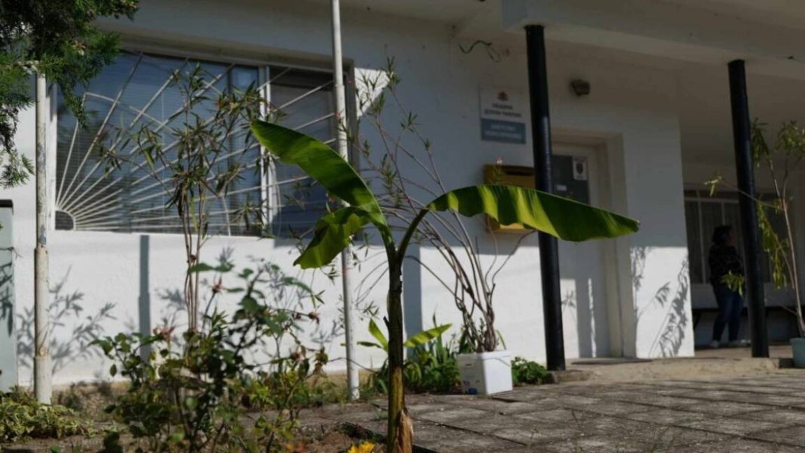 En el pueblo de Novo Oryahovo no hay centro de salud pero tampoco hay ni una casa abandonada