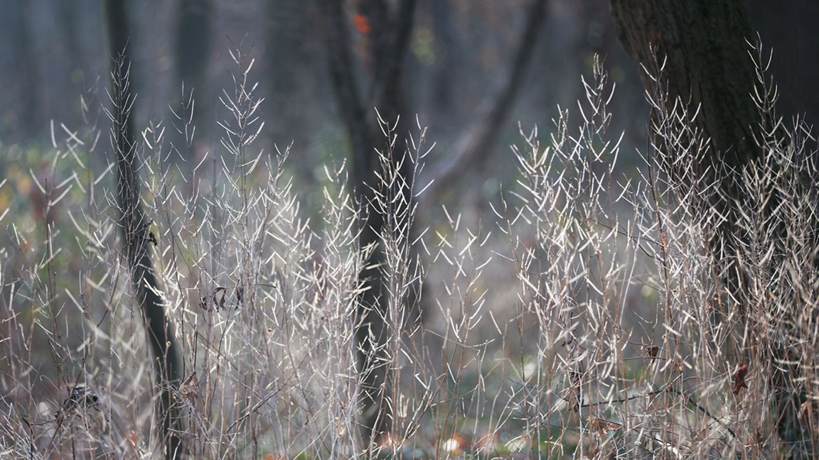 Parashikimi i motit për 6 janarin
