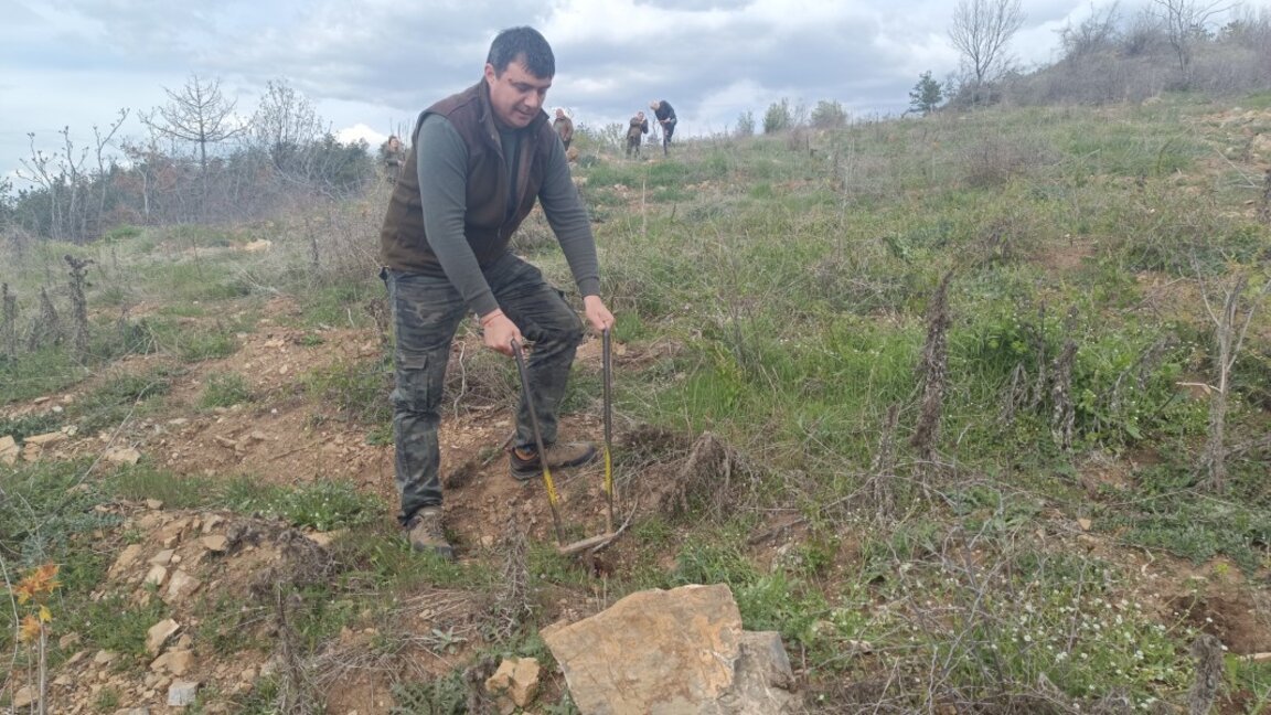 Залесиха опожарена площ край село Богомилово