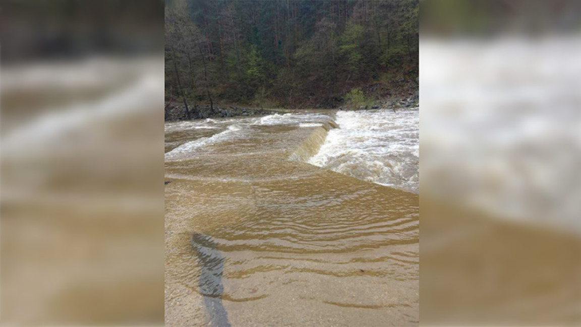 Снимката е илюстративна