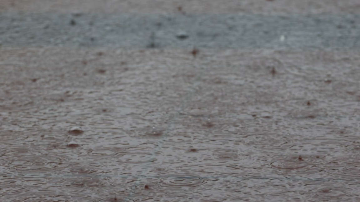 Снимката е илюстративна, орхав.