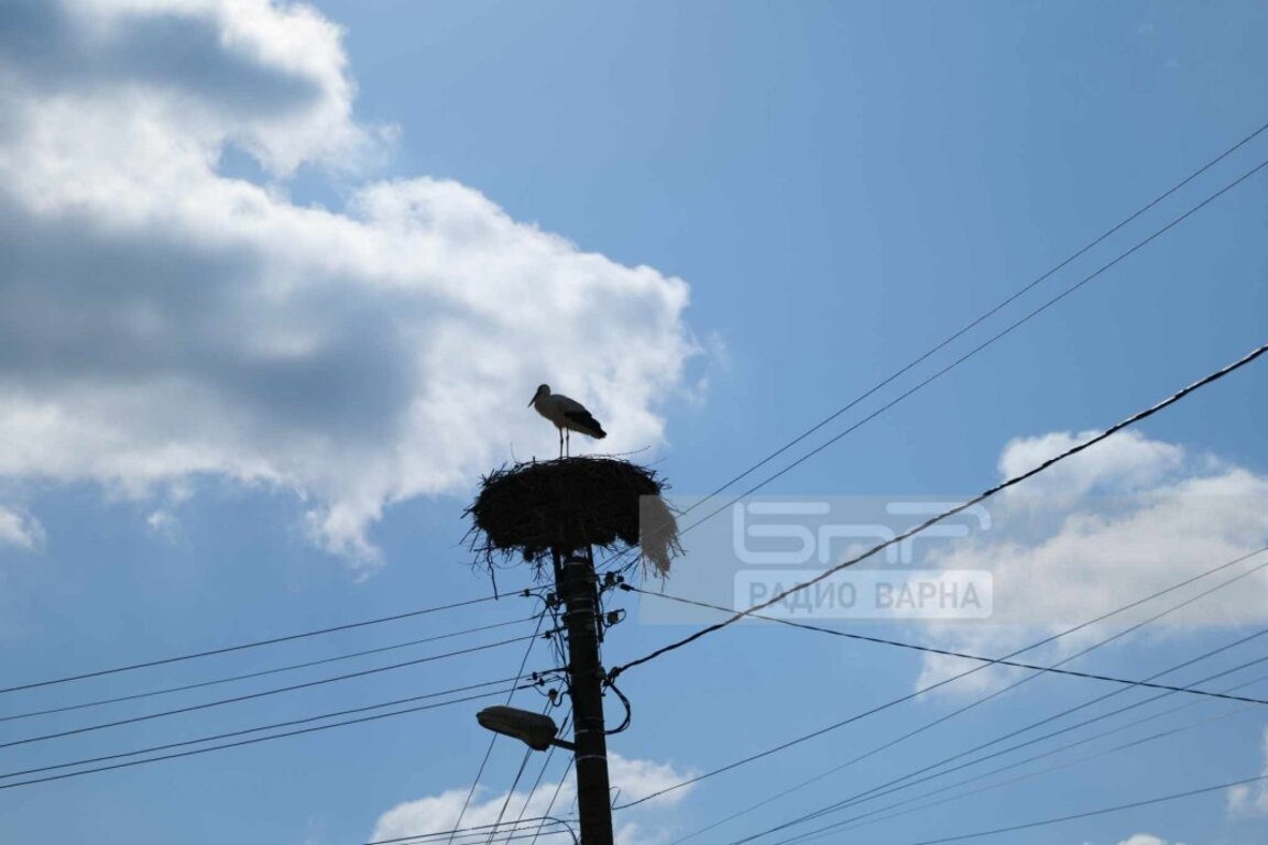 Πρόγνωση του καιρού για τις 26.03.2024