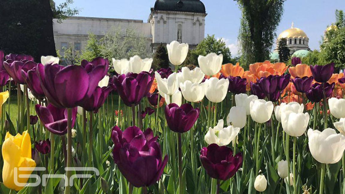 Приятно време, предимно слънчево, в София температурите стигат до 13°