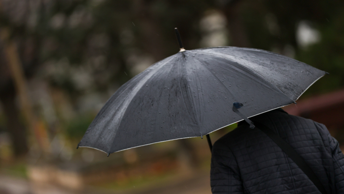 До 12 градуса се очакват днес у нас 