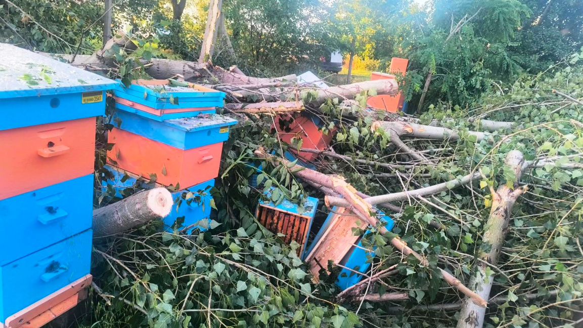 Буря в Йоаким Груево съсипа близо 30 кошера на млади пчелари