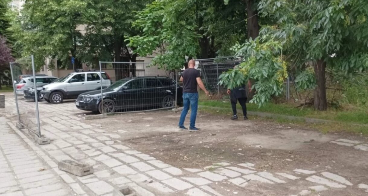 Кметът на Пловдив спря премахването на дървета на бул. "Марица"