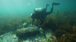 Какви съкровища се крият във водите на Черно море?