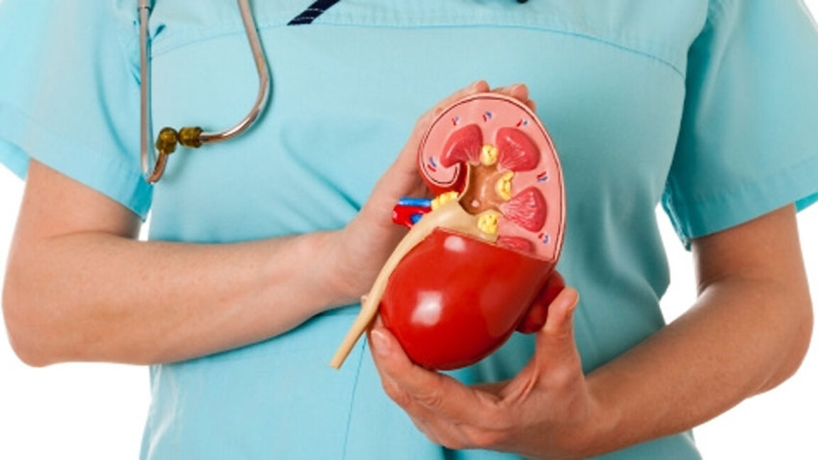 Cada vez más personas sufren problemas renales debido al sedentarismo y al exceso de peso