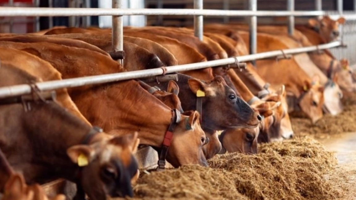 Bulgarian farmers are calling for state support