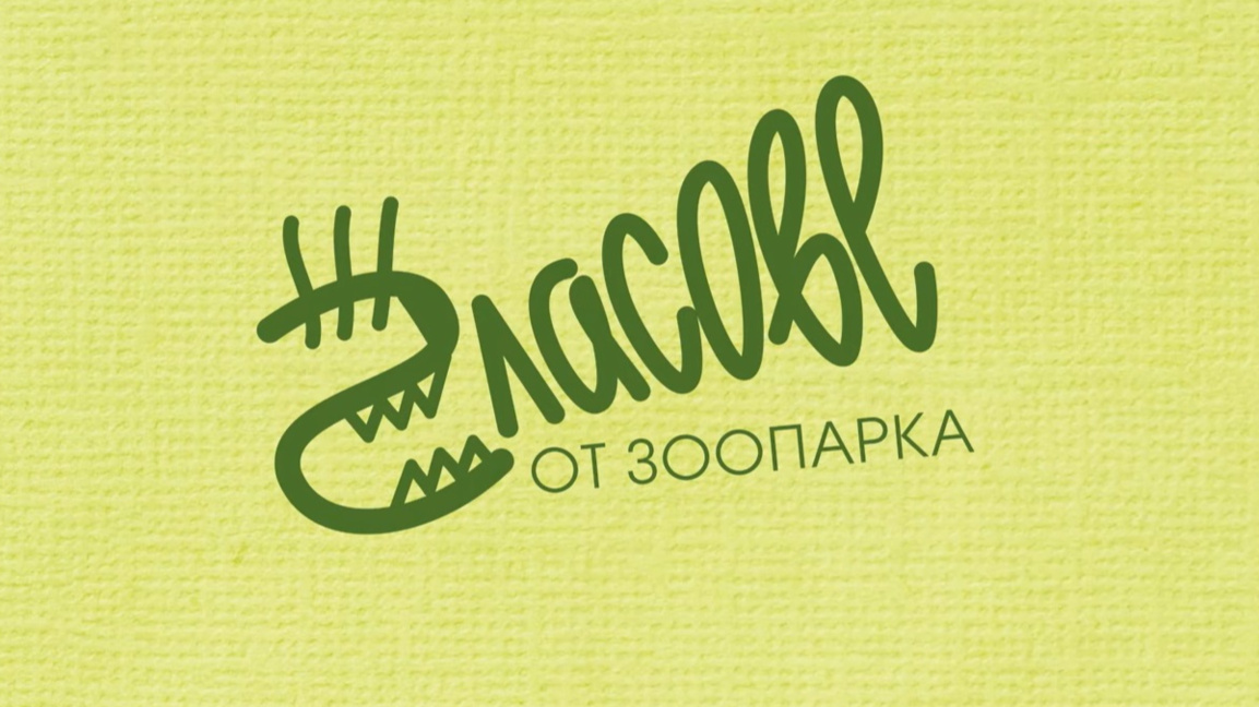 "Гласове от зоопарка" – децата с грижа за животните 