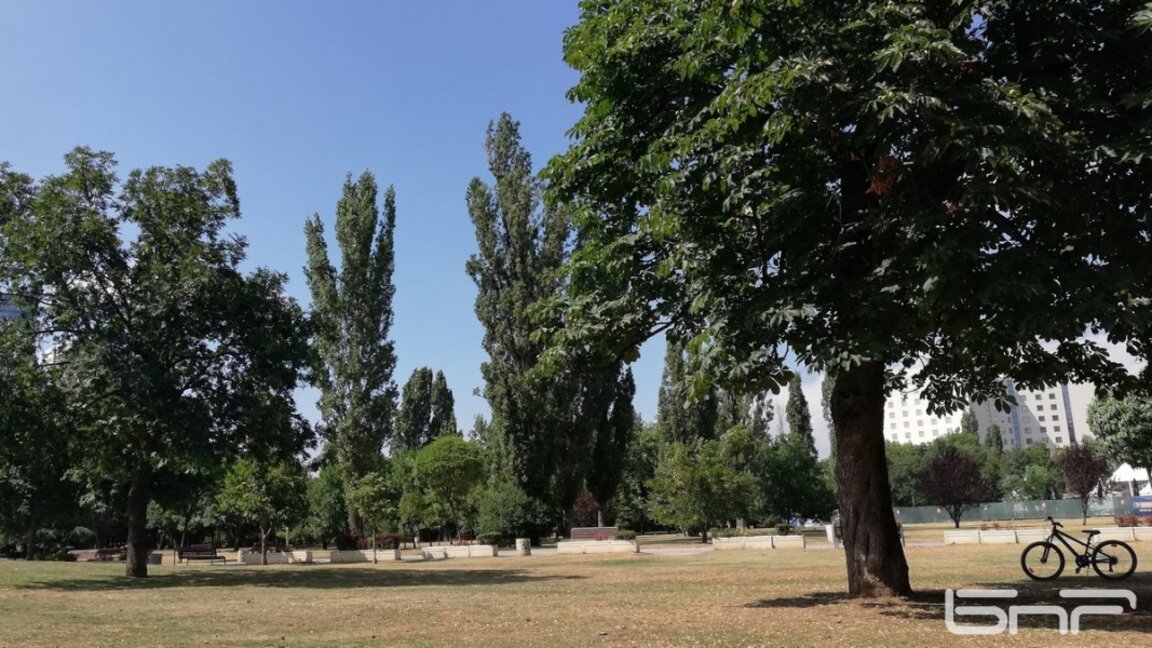 Primăria Capitalei sprijină voluntarii în plantarea a 835 de copaci
