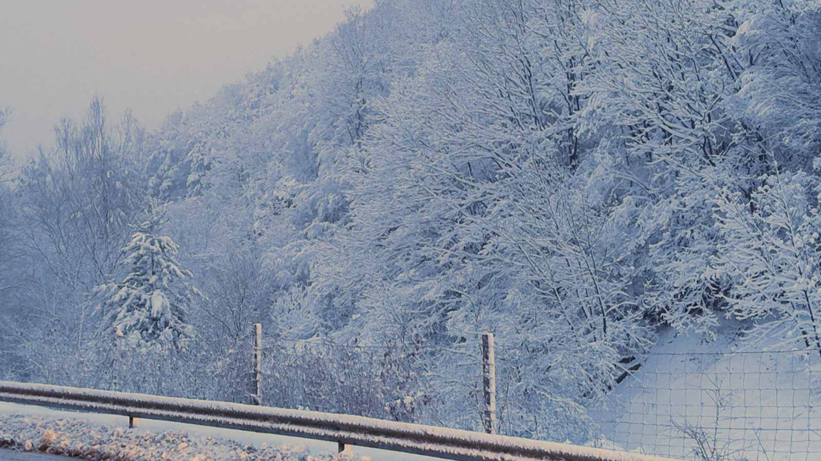 Мразовита зима