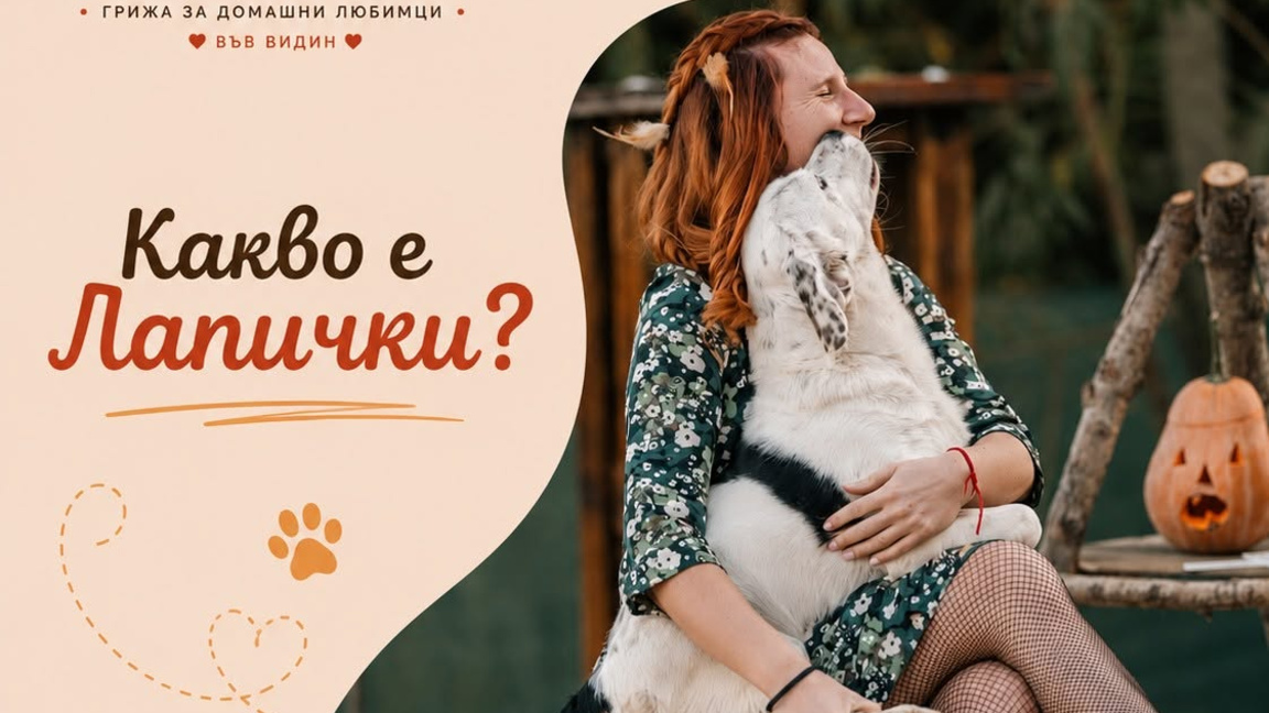 "Лапички" – когато грижата за домашните любимци е повече от услуга