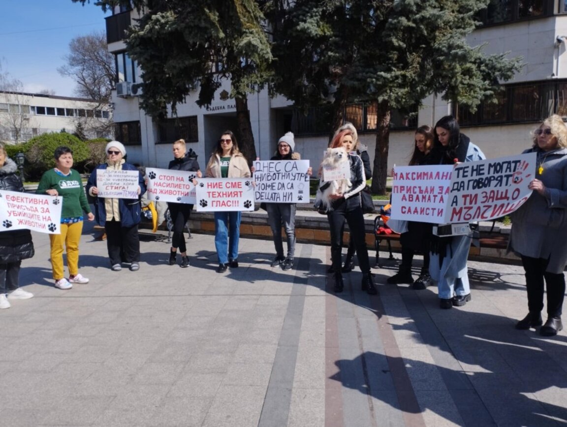 Във Видин протестираха срещу насилието над животни