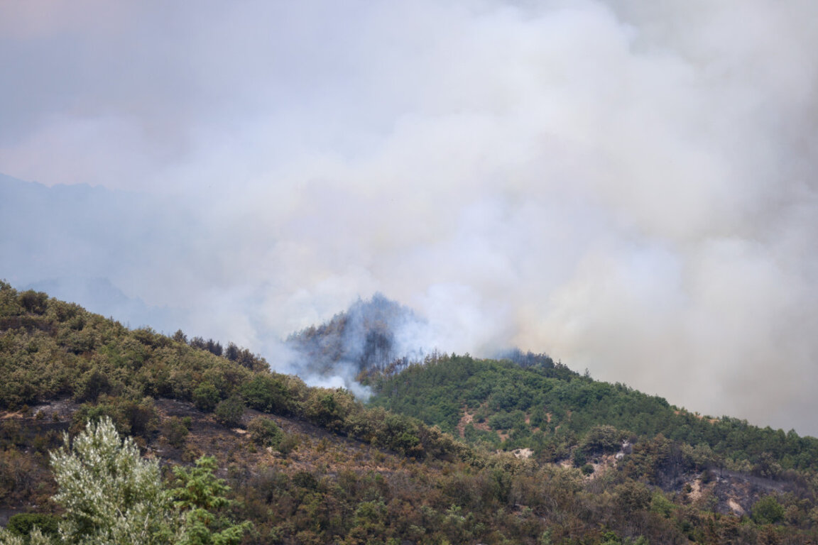 Все още не е овладян пожарът в Пирин край Горно Спанчево