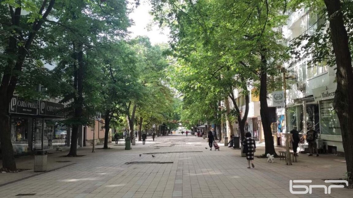 Dobriç şehrinde Dünya Hoşgörü Günü kutlamaları