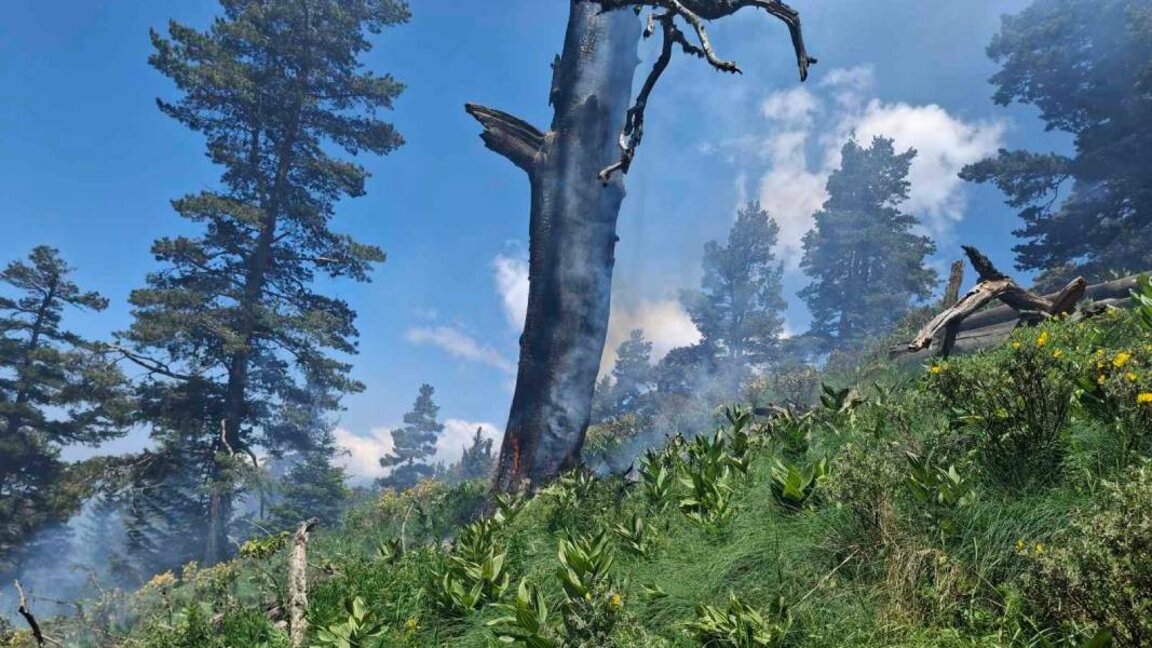 Efforts to stop forest fire near Rila Monastery continues for second day