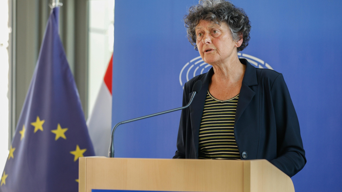 Тинеке Стрик, депутат в Европейския парламент