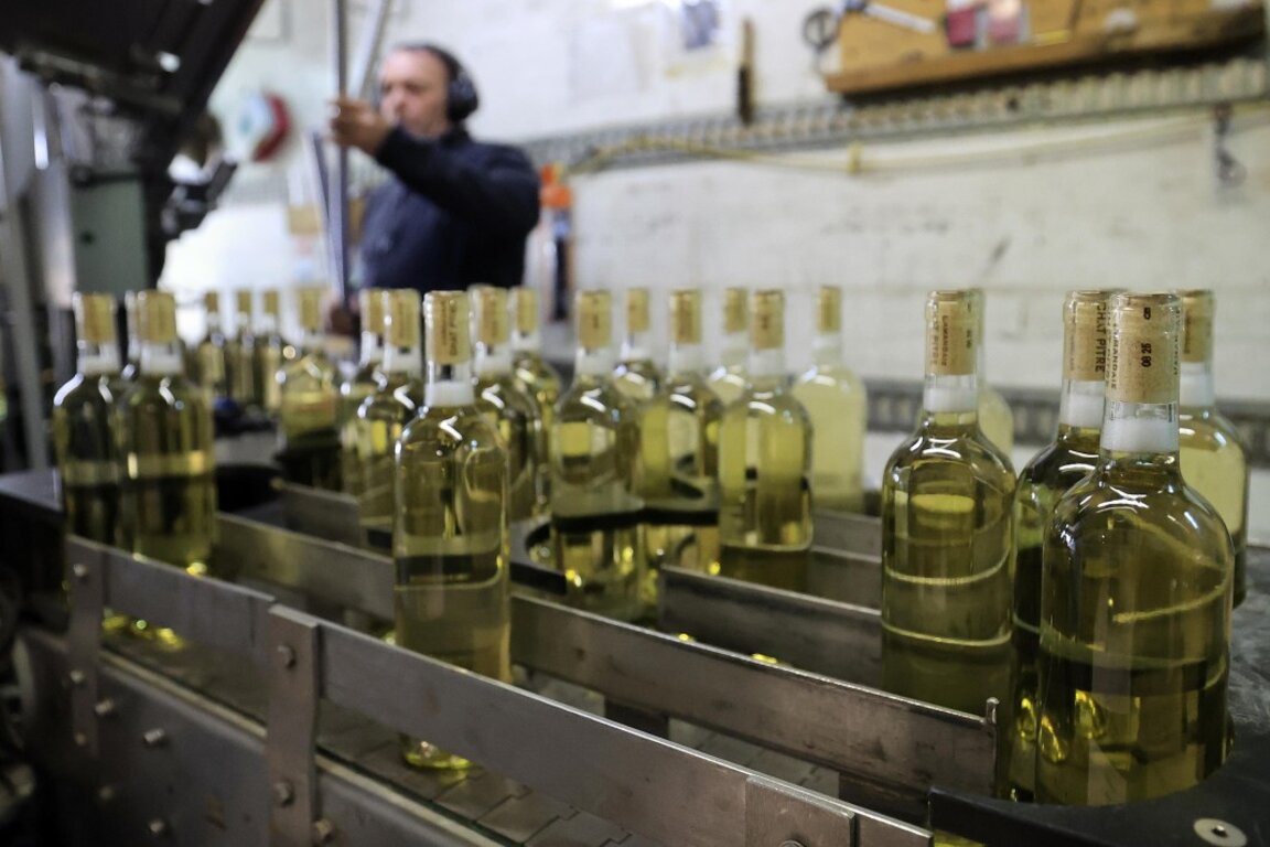 В секцията за бутилиране във винарна в Омелас, Южна Франция, архив, март 2025 г.