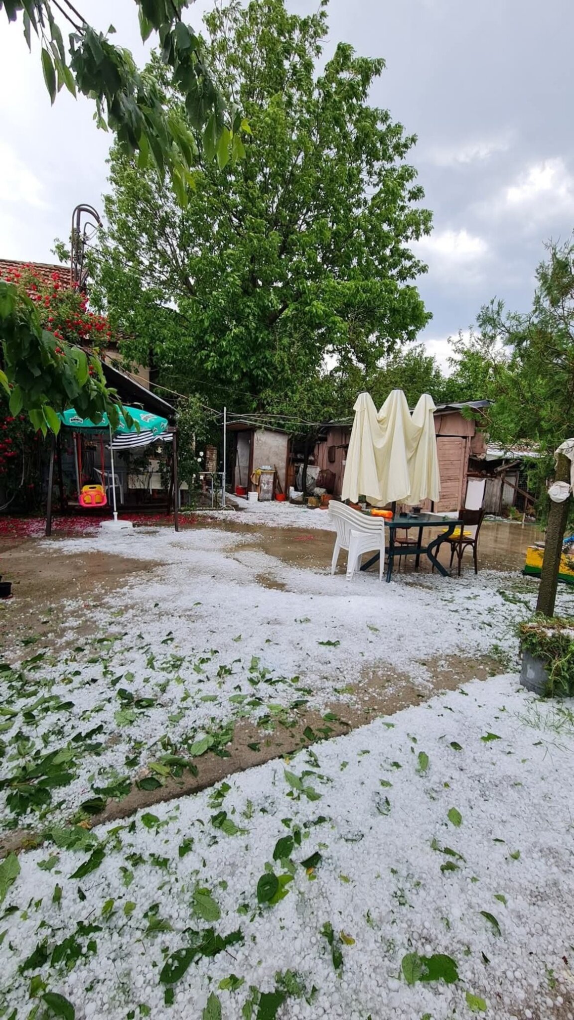 Градушка унищожи реколтата в старозагорски села