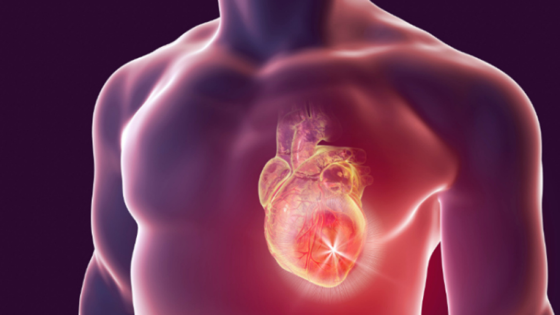 Une région bulgare présente la plus grande mortalité due à des maladies cardiaques de toute l'UE