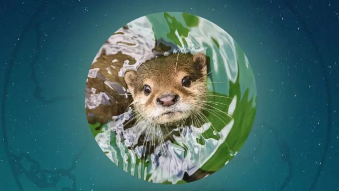 Bulgaria celebra la Hora del Planeta y el Día Mundial del Agua