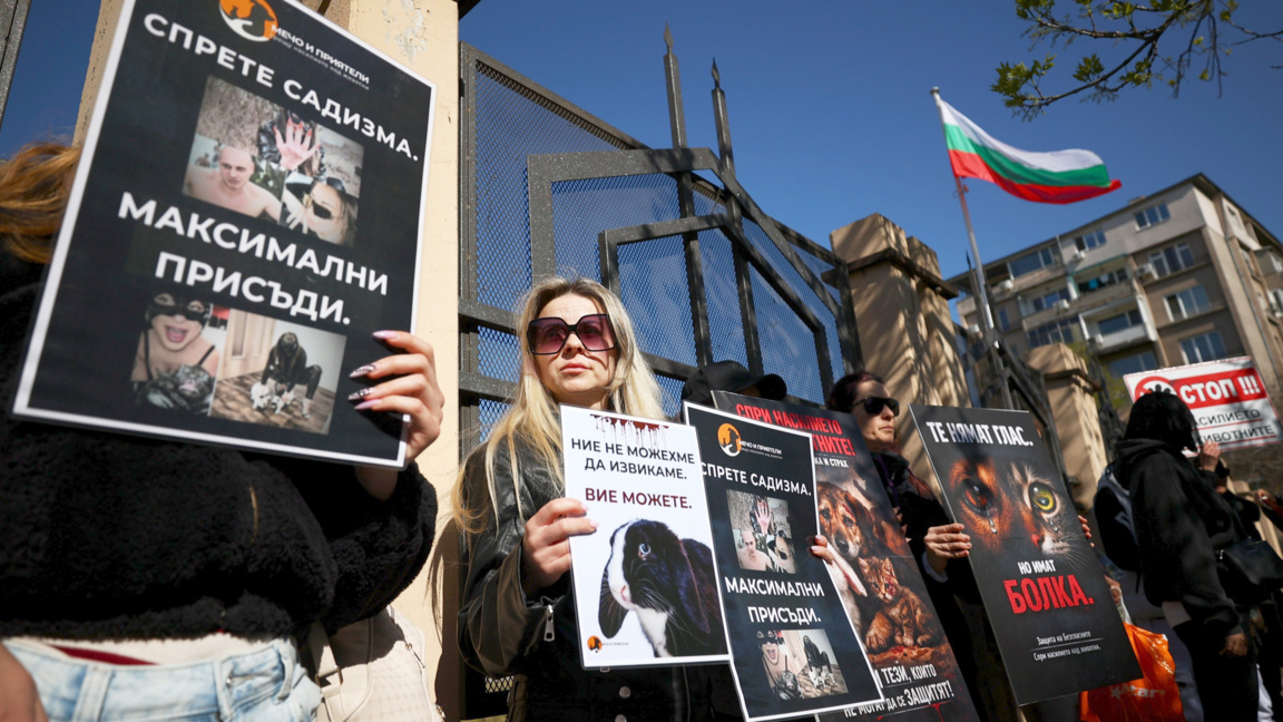 Граждани протестираха с искането за ефективни присъди за насилниците над животни