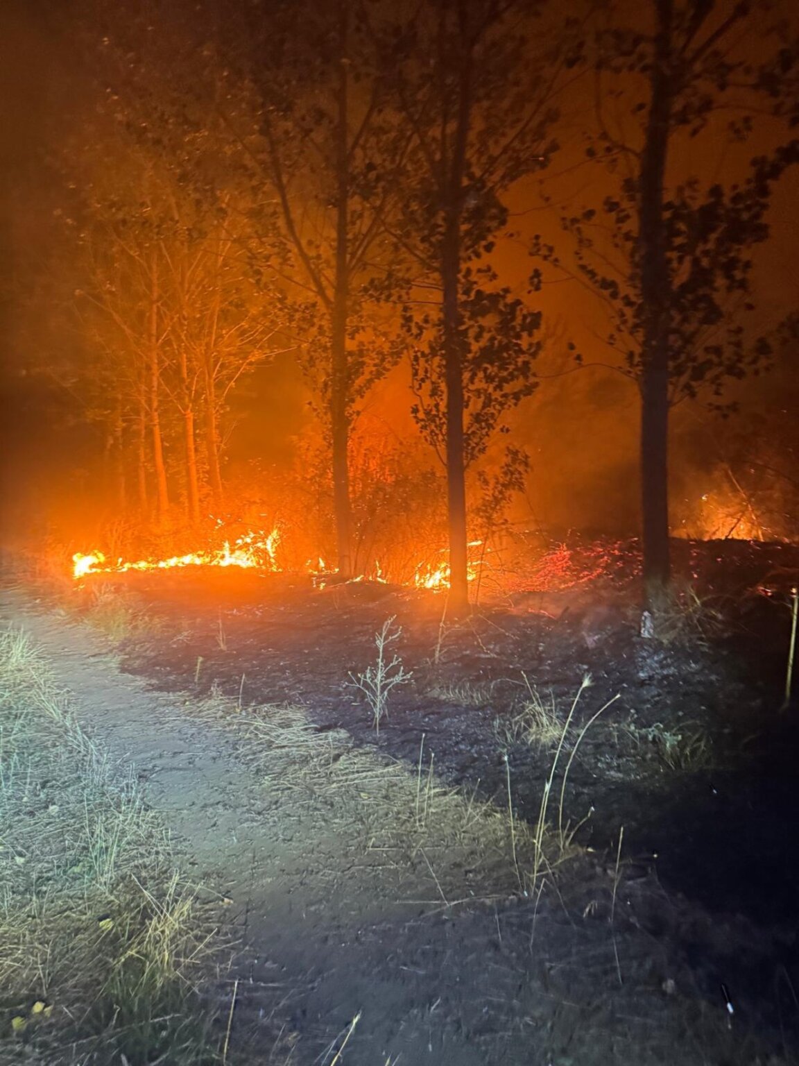 Потушиха пожар в свиленградското село Генералово