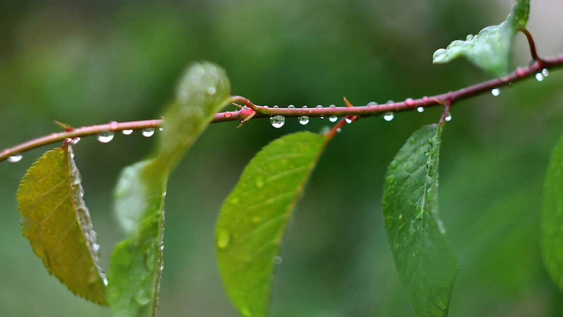 Временска прогноза за петак, 16. мај