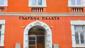 Внесен е обвинителен акт срещу насилниците на животни от Свищов