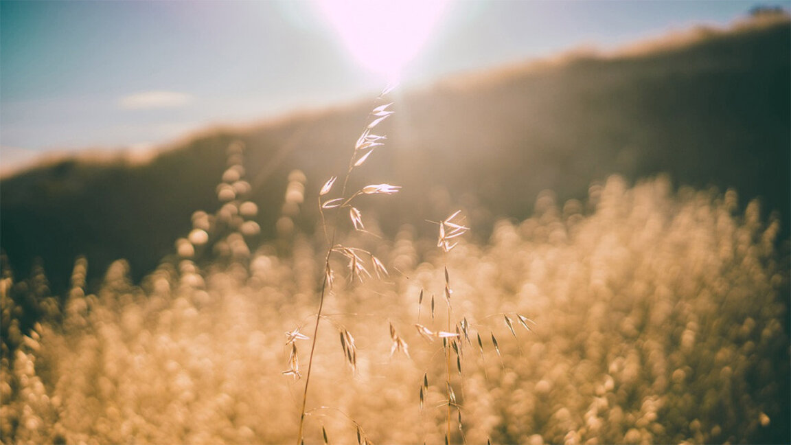 El 6 de agosto la naturaleza se transforma