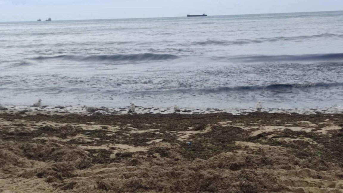 Снимката е илюстративна.