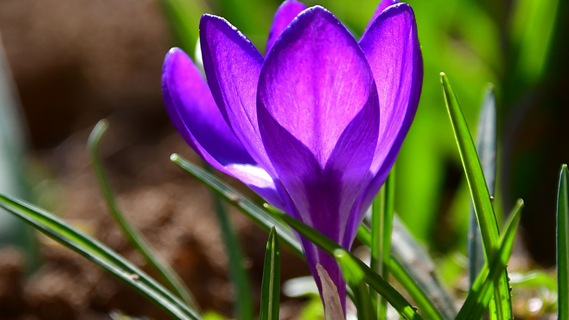 Слънчев понеделник, облачността намалява...