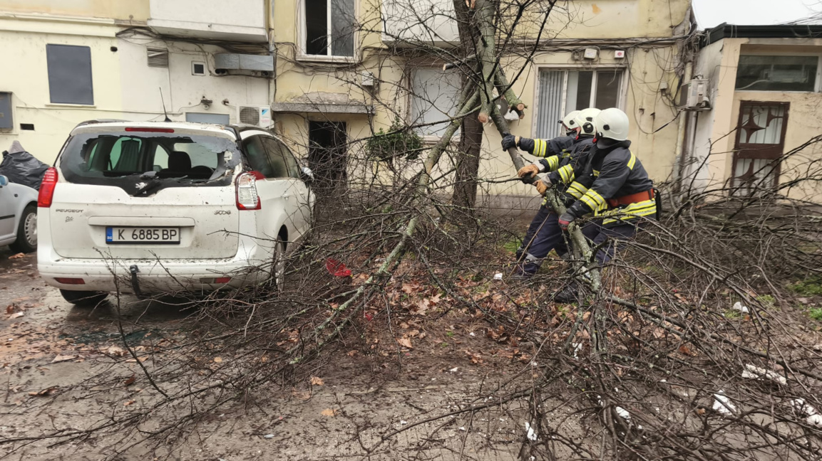 Силен вятър пречупи клони и повреди кола в Кърджали
