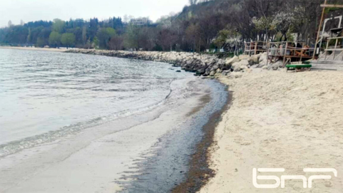 Nappe de mazout sur la plage à Varna...