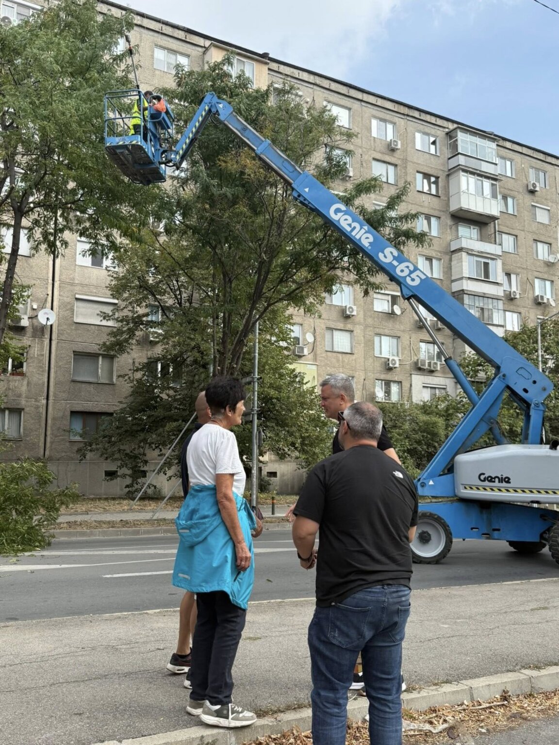 Оформят короните на дърветата по бул. „Славянски“