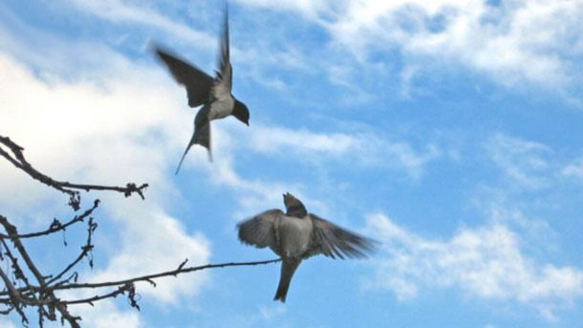 Wetteraussichten für Freitag, den 7. März