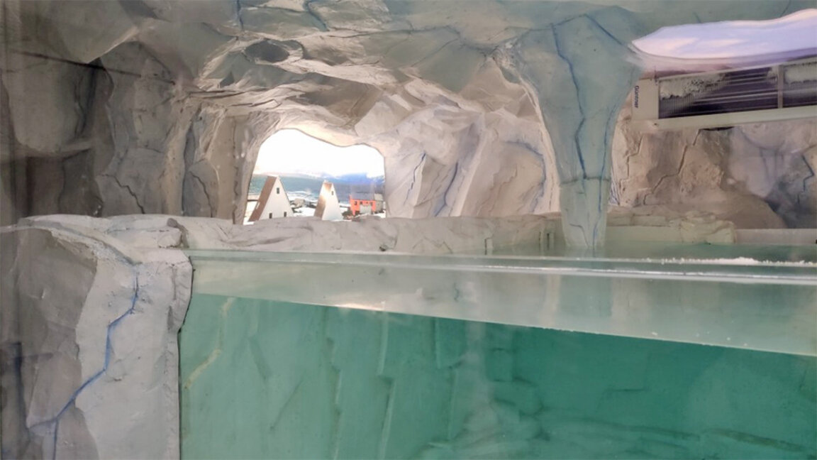 L’aquarium de glace à Plovdiv cherchera ses nouveaux spécimens en Antarctique
