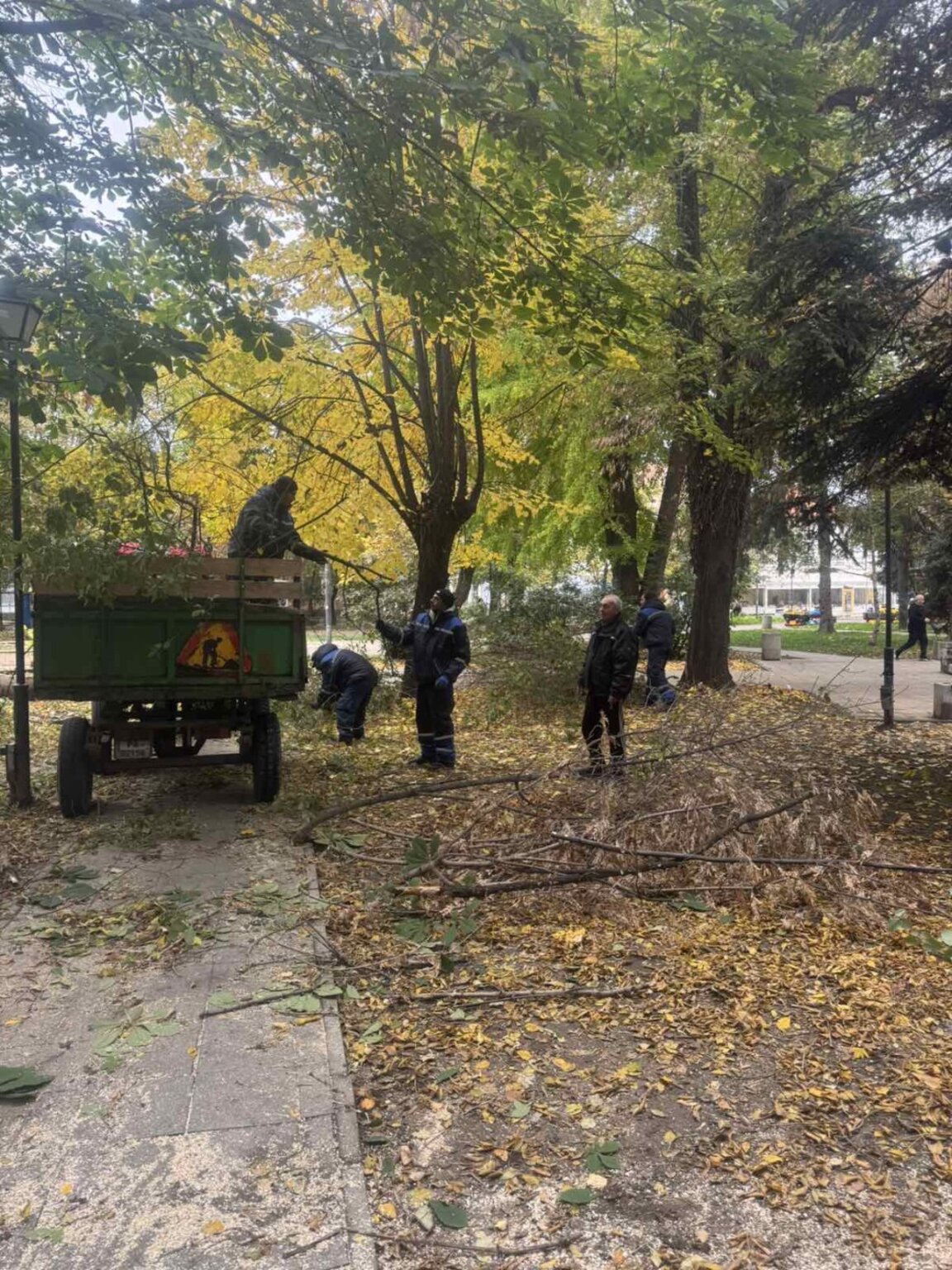 Прочистват зеленината в Градската градина на Пазарджик