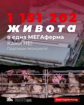 Протест срещу разширяването на фермата за кокошки в Дебелец