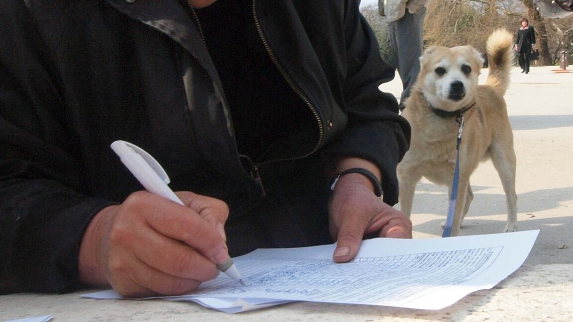 Обдумывается ужесточение наказаний за насилие над животными