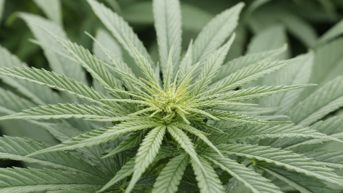 Снимката е илюстративна, архив.