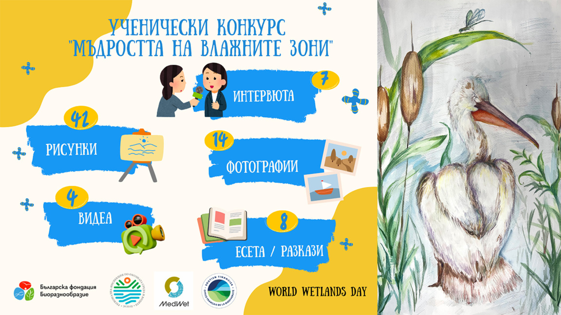 Ученици представят "Мъдростта на влажните зони" в изложба край Бургас